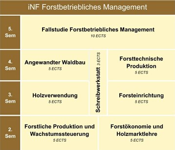 iNF Forstbetriebliches Management-1.jpg